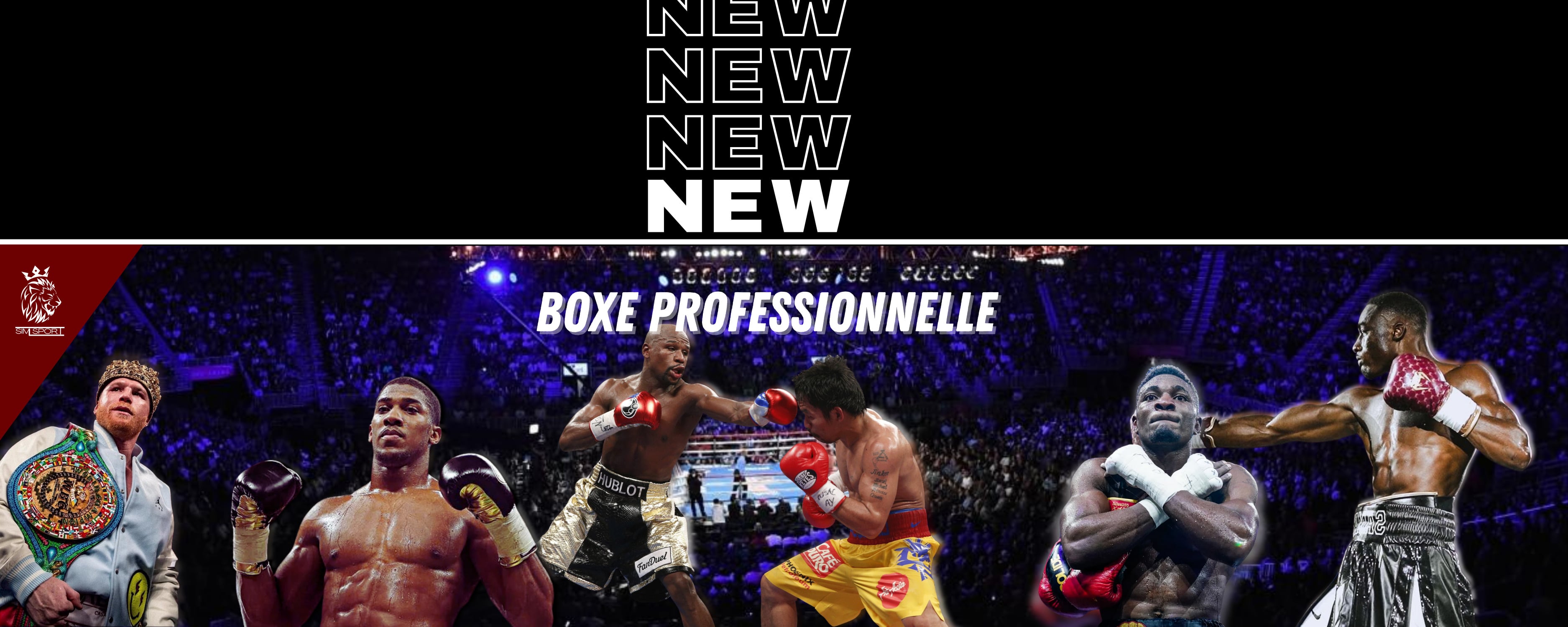 Canelo, Joshua, Mayweather vs Pacquiao, Christian Mbilli, Bakary Samake dans un gala de boxe professionnel